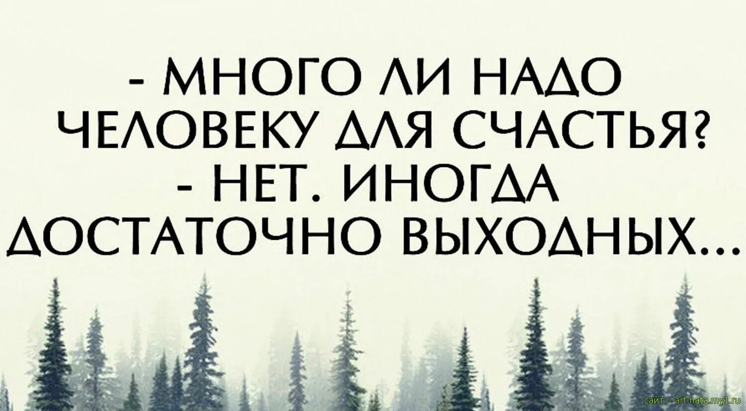 Цитаты про выходные. Цитаты про выходные. Смешные фразы про выходные. Смешные рабочие цитаты. Цитаты выходного дня.