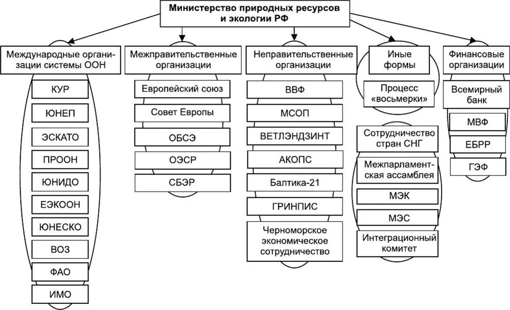 Виды международных организаций в международном праве. Виды международных организаций в международном праве