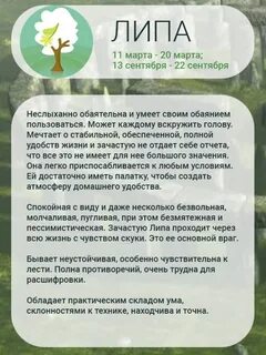 Календарь друидов по дате
