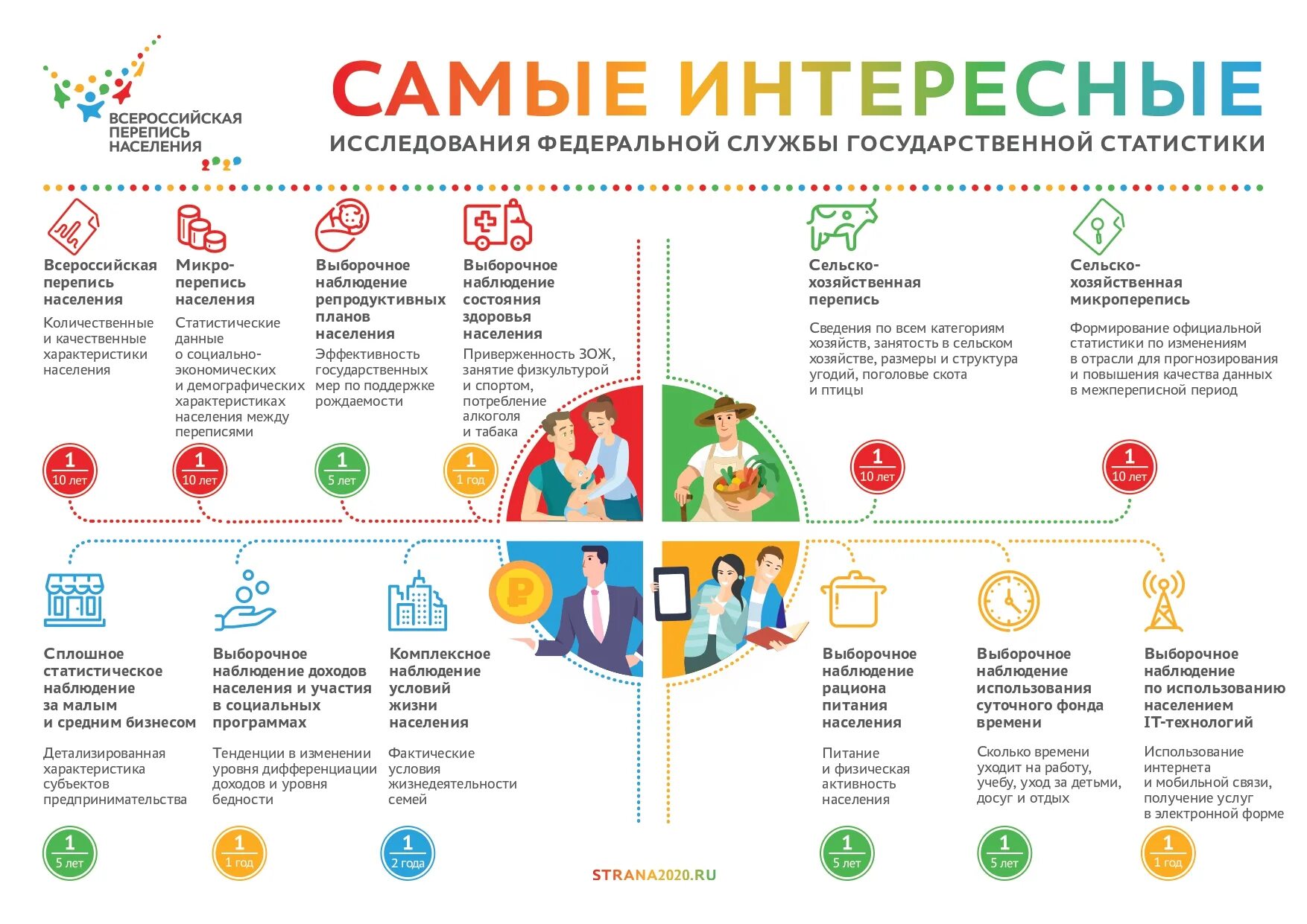 Досуг опрос. Перепись населения 2021. Перепись населения инфографика. Всероссийская перепись населения 2021. Интересная инфографика.