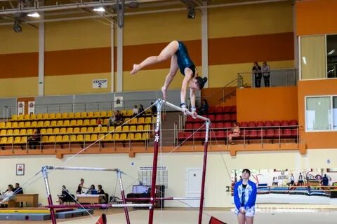 Спортивная гимнастика дворец спорта