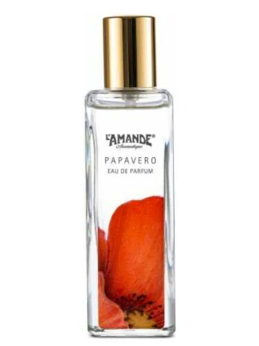 Аромат london. Духи с запахом амбры. Ambre santal l'occitane. Духи с нотами амбра. Ambra in fragrance.