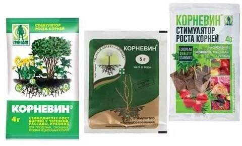 Самые лучшие условия для корнеобразования растений туман