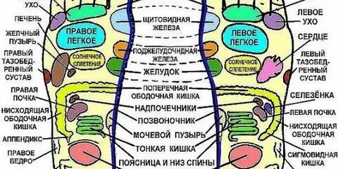 Правая стопа точки отвечающие за органы