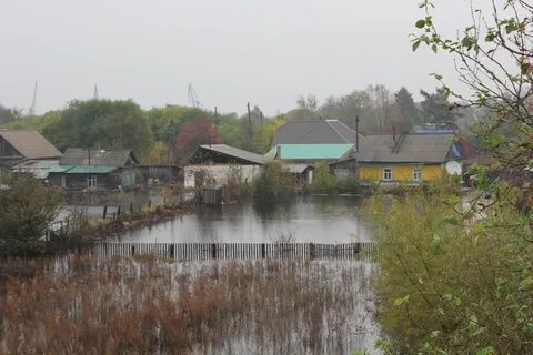 Погода в суражевке