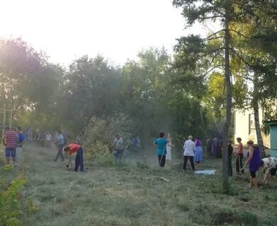 Рп5 гуляй борисовка зерноградского р на