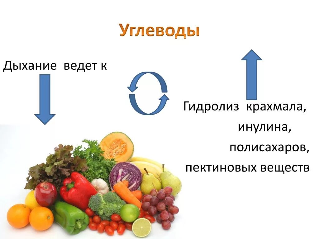 Овощи это углеводы или. Углеводы в овощах. Углеводистые овощи. Углеводы в фруктах. Овощи это какие углеводы.