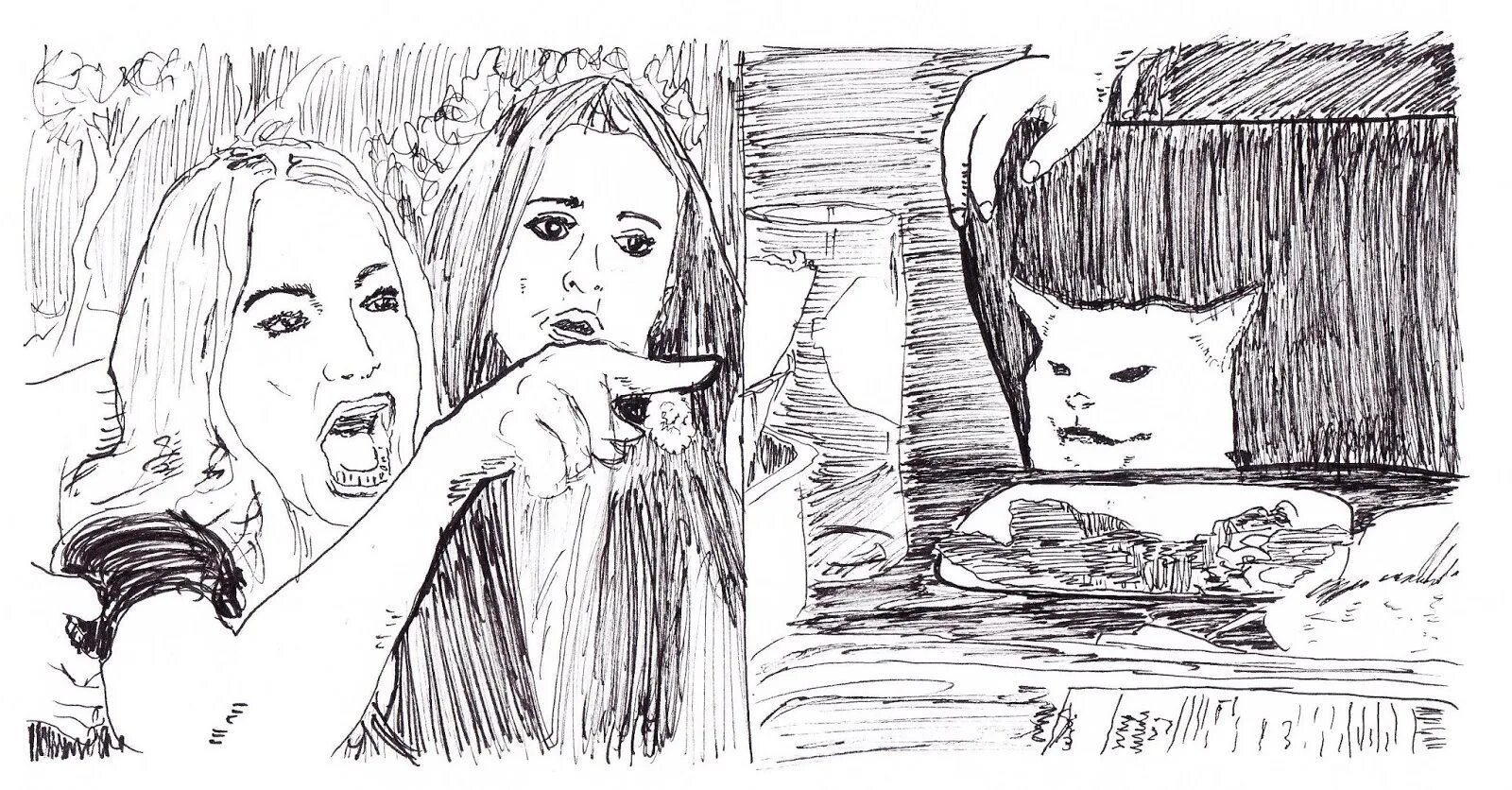 Мем две женщины. Две девушки кричат на кота. мем с котом и двумя женщинами. мем две девушки. женщина с котом.