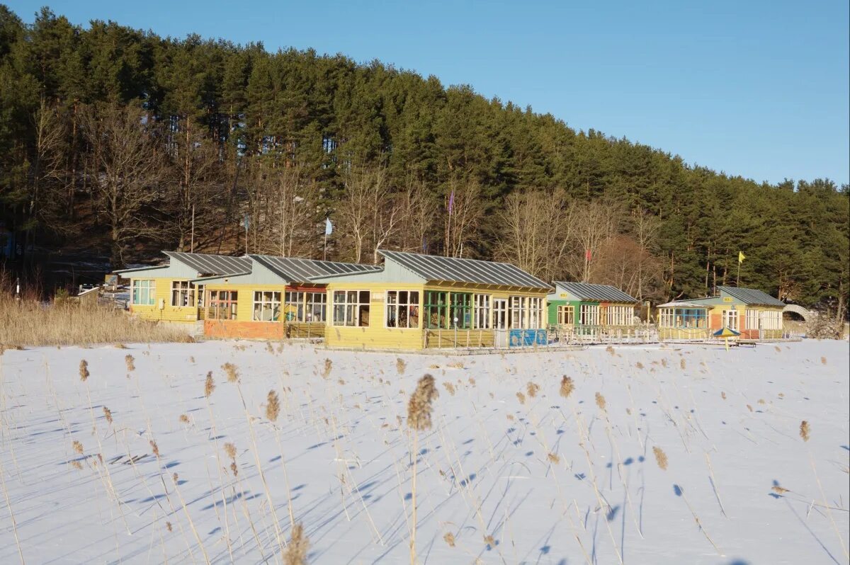 Каникулы строгого режима лагерь. Пионерский лагерь строгого режима. Каникулы строгого режима какой лагерь. Каникулы строгого режима лагерь. Виктор дюжев каникулы строгого режима.