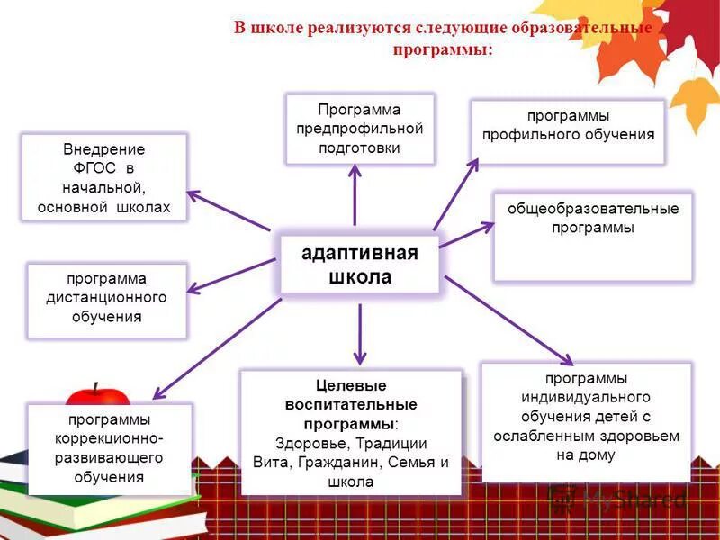 Профильная программа школы