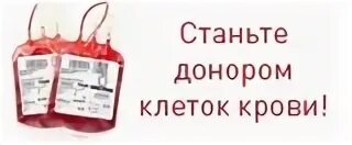 Как стать донором в спб. Почётный донор санкт-петербурга. светофор донора спб.
