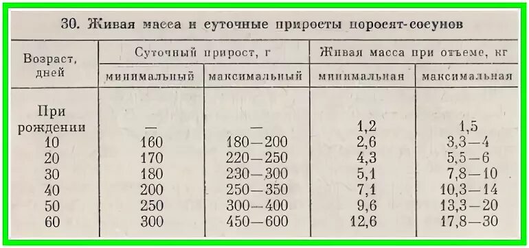 Средний вес поросенка в 1.5 месяца. Таблица прироста поросят по месяцам. Вес поросят по таблице по дням. Таблица размеров поросят веса.