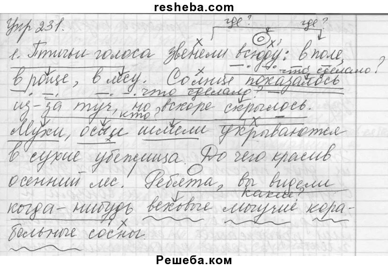 упражнение 231 8 класс. русский язык упражнение 231 3 класс стр 127. выпишите из учебника биологии химии физики предложения с однородными. упражнение 231 по русскому языку 3 класс. номер 231 по алгебре 8 класс.