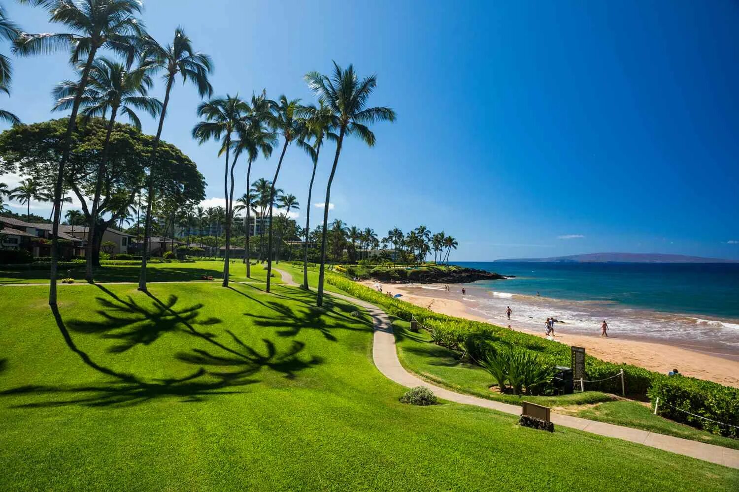 Maui shell