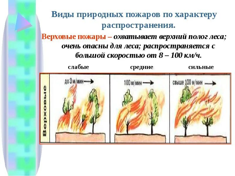 Скорость распространения природного пожара. Скорость распространения верхового пожара в лесу. схема классификации природных пожаров. природные пожары по характеру горения. лесные пожары схема.