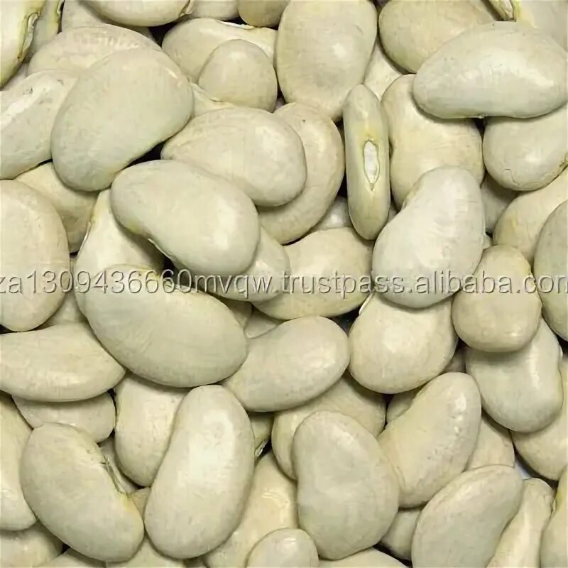 Lima beans