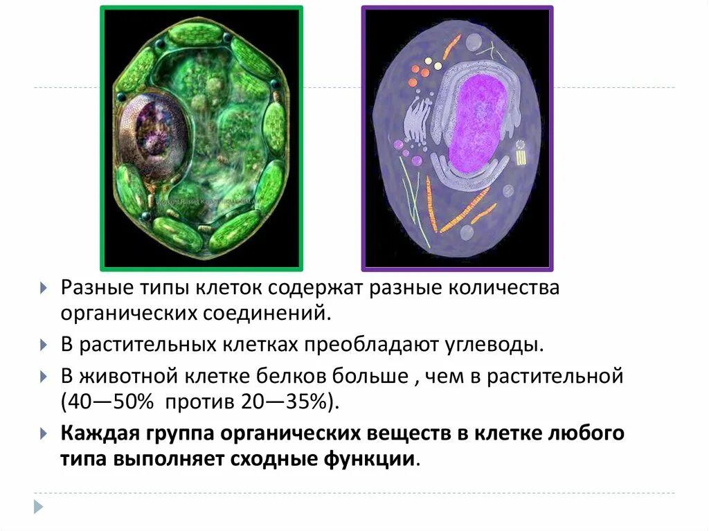 Первые клетки органические. Что преобладает в растительной клетке. Органические соединения преобладающие в растительных клетках. Углеводы в клетках животных. Углеводы в растительной клетке.