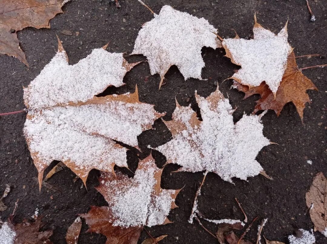 Ирина заярная. Девушка зимой. Зимняя фотосессия. Зимняя фотосессия на природе. Кажется зима.