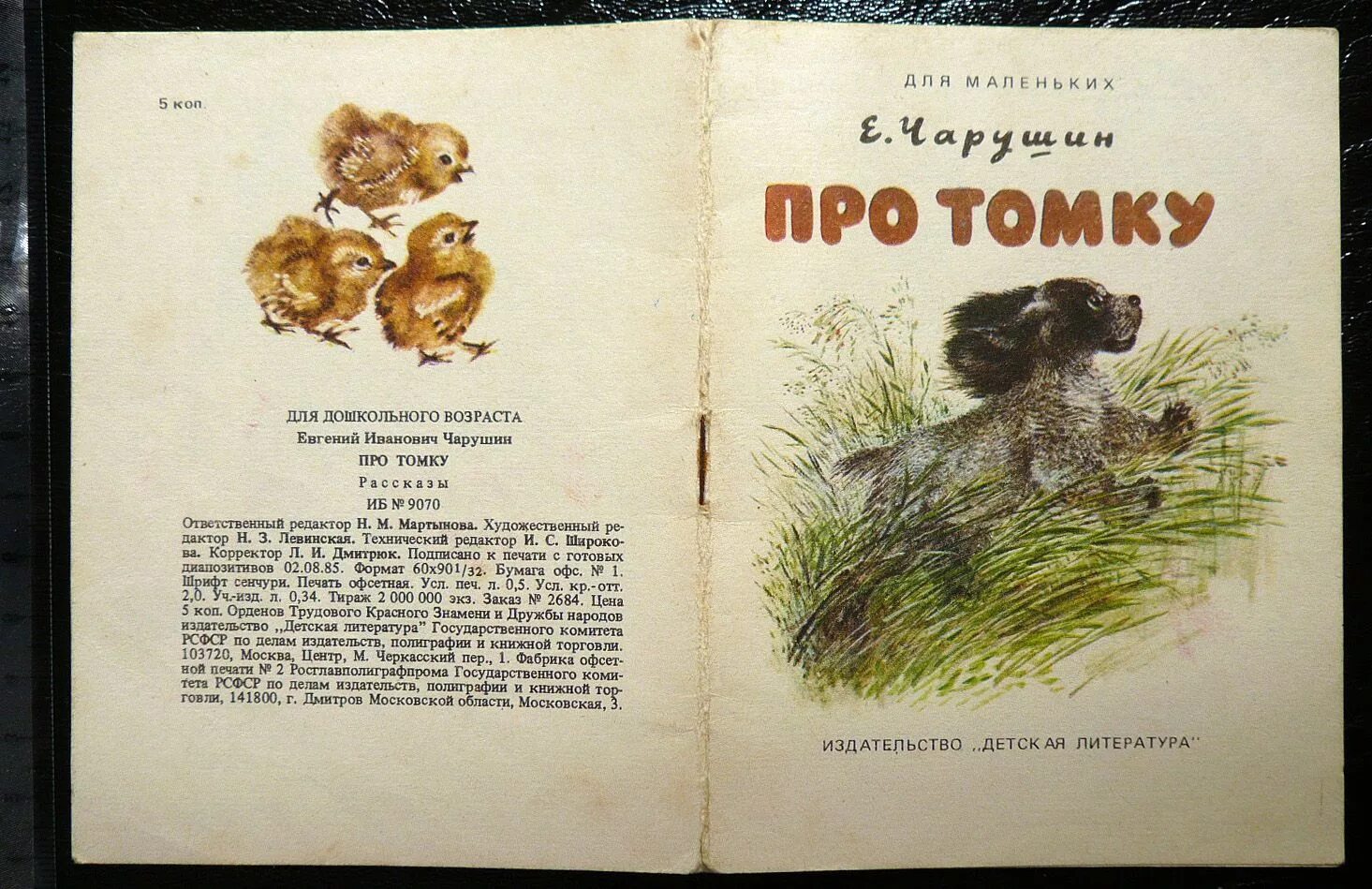 Чарушин рассказы. Евгений иванович чарушин томка. произведение чарушина про томку. чарушин про томку. рассказы про томку чарушин рассказы.