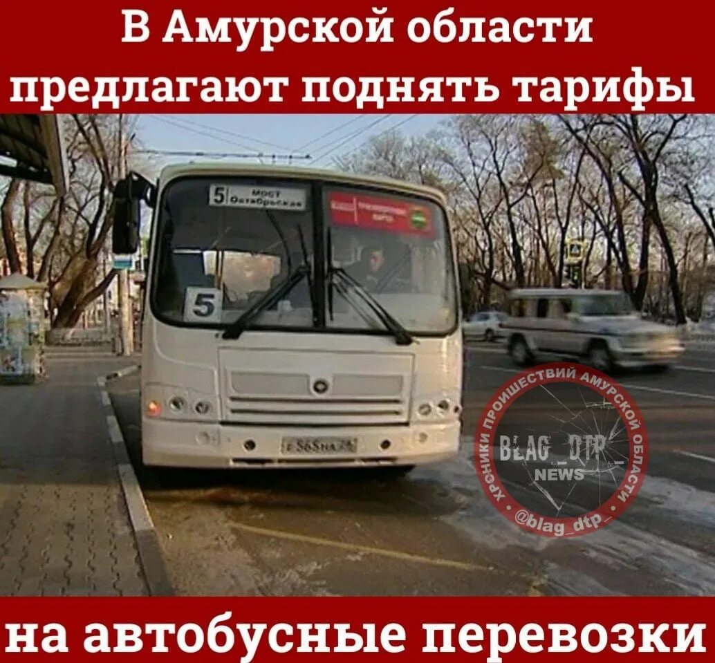 Автобусы по городу сальск. Амурская область город Благовещенск автовокзал. Автовокзал Благовещенск Амурская область автобусы. Общественный транспорт Благовещенска. Междугородние автобусы Благовещенск.