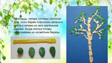 Ветви берез предложение