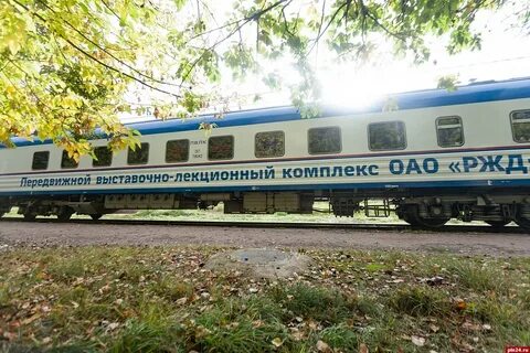 Вагон 9 букв