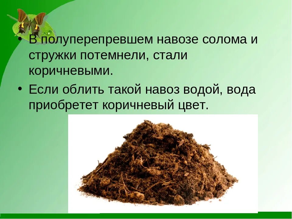 Превращают в перегной какие бактерии. Превращают в перегной какие бактерии