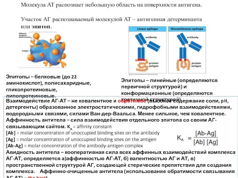 Молекула антигена