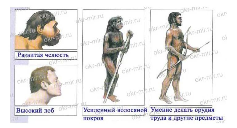 Чем отличаются современные люди. Отличие древнего человека от современного. Различия современного человека и древнего человека. Современный человек от древнего человека. Сходства человека разумного древнего человека.