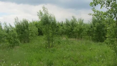 Участок признают