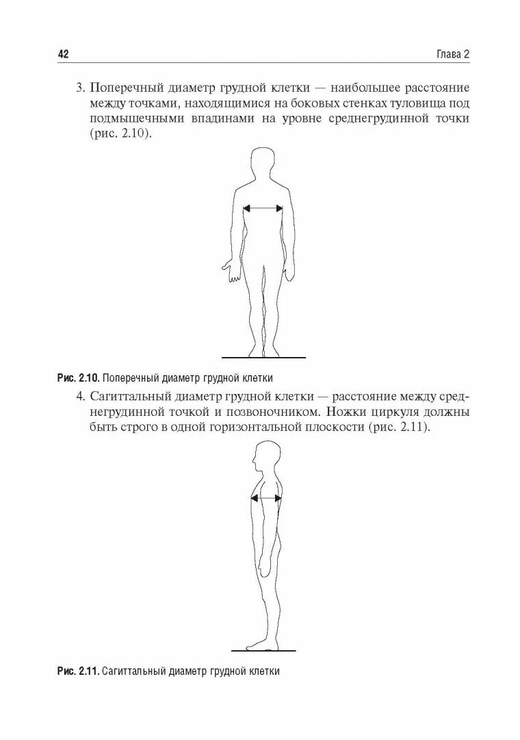 Размеры черепа взрослого человека. Поперечный диаметр. Продольный размер головы. Поперечный диаметр. Поперечный диаметр.
