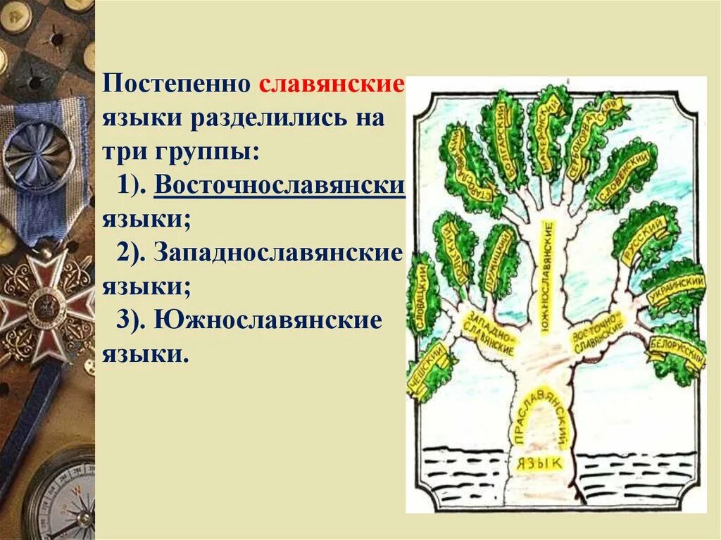 Тип славянских языков. Тип славянских языков
