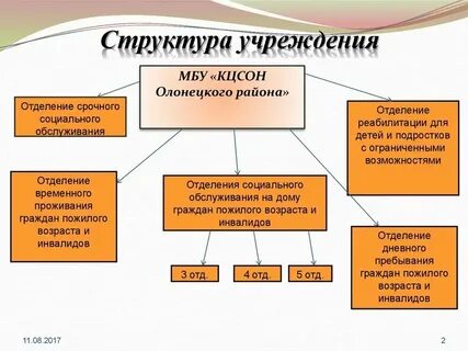 Общая структура организации это