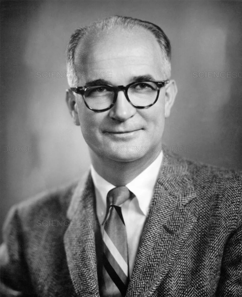William shockley actor шоугелз. Уильям брэдфорд шокли. Уильям шокли. William shockley (actor). Уильям шокли.