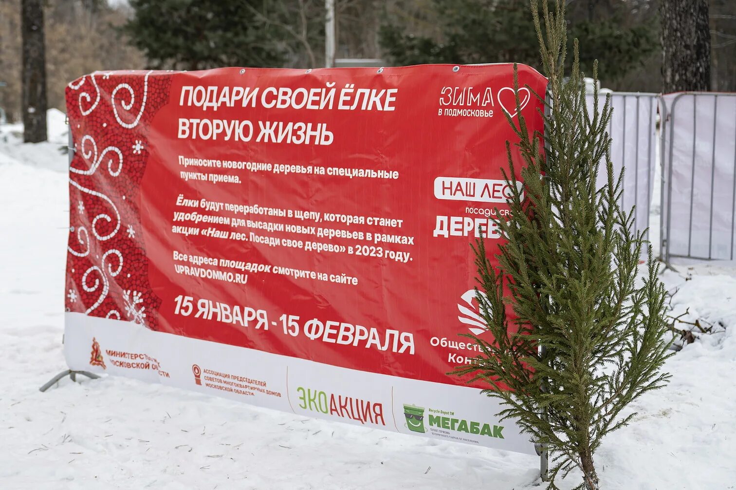 Подари елке вторую жизнь. Подари елке вторую жизнь