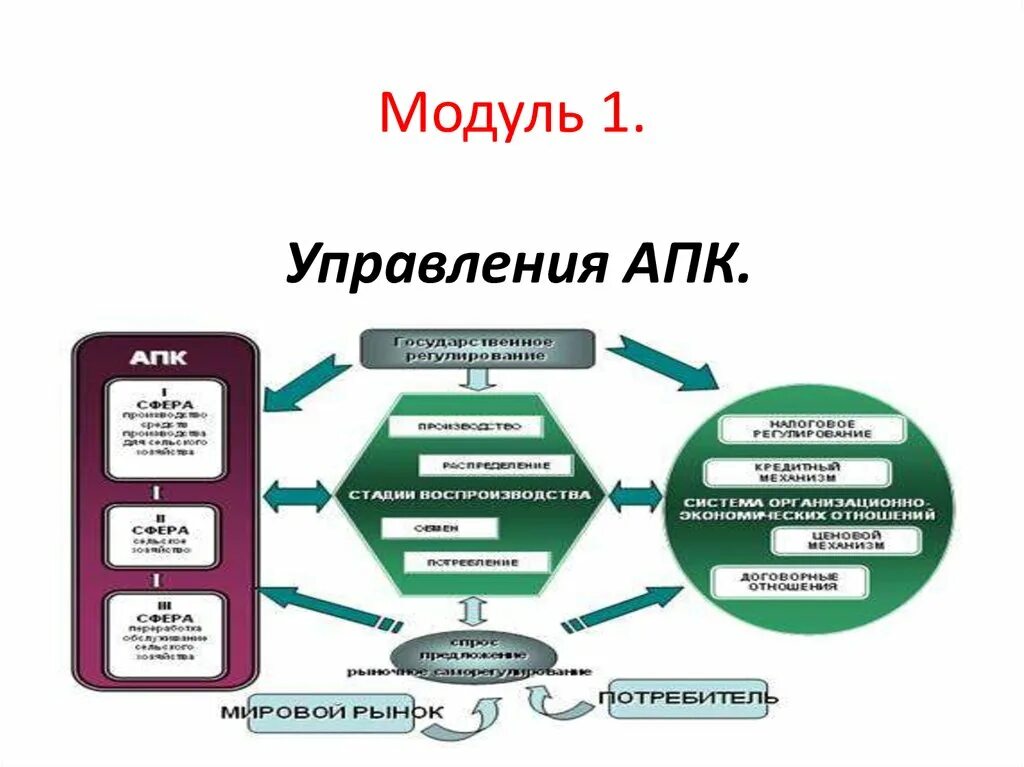 Система управления АПК. Уровни управления АПК. Менеджмент в АПК. Управление на предприятии агропромышленного комплекса. Изменение требований апк