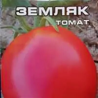 Томат сорта земляк. Томат сорта земляк