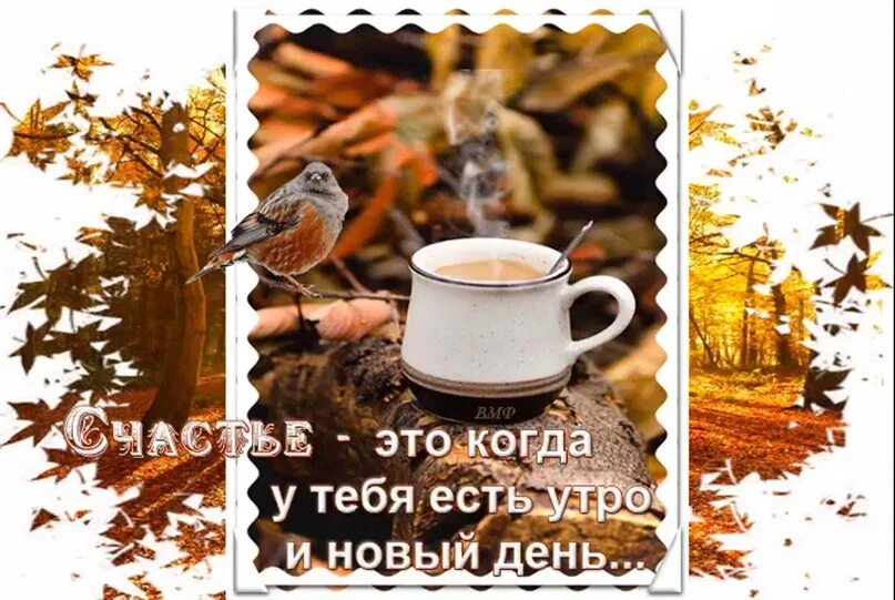 Пин на доске Доброе утро Доброе утро, Смешные карикатуры, Счастливые картинки
