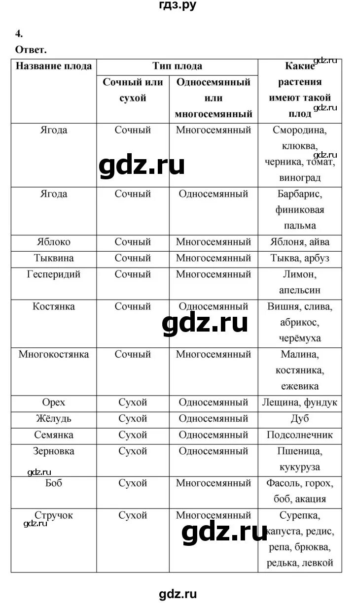 Биология 6 класс рабочая тетрадь пасечник ответы. Биология 6 класс рабочая тетрадь пасечник ответы. Биология 6 класс рабочая тетрадь пасечник ответы. Биология 6 класс рабочая тетрадь пасечник ответы. Биология 6 класс рабочая тетрадь пасечник ответы.