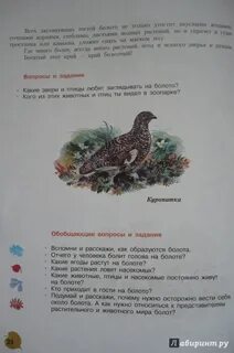 Проект кто живет на болоте