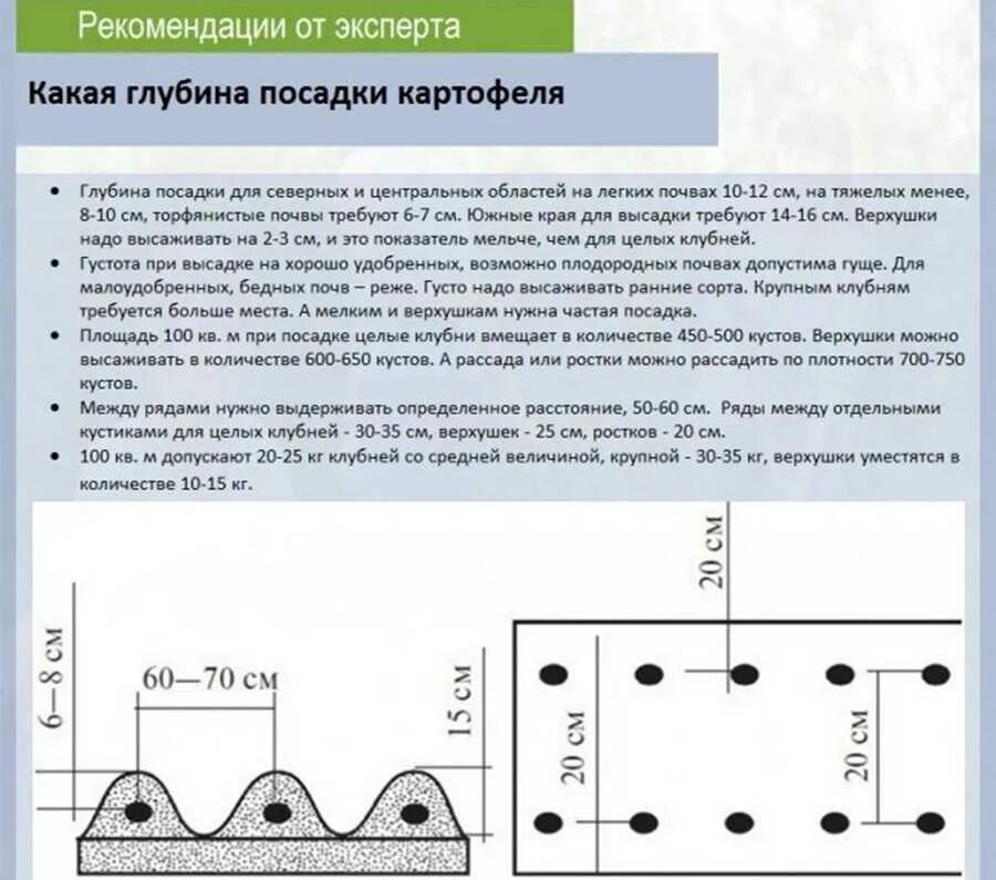 Как сажать картошку весной в открытый грунт. Нормы посадки картофеля расстояние между рядами. Картофель посадка расстояние между клубнями и между рядами. Схемы способов посадки картофеля. Схема посадки картофеля глубина посадки.