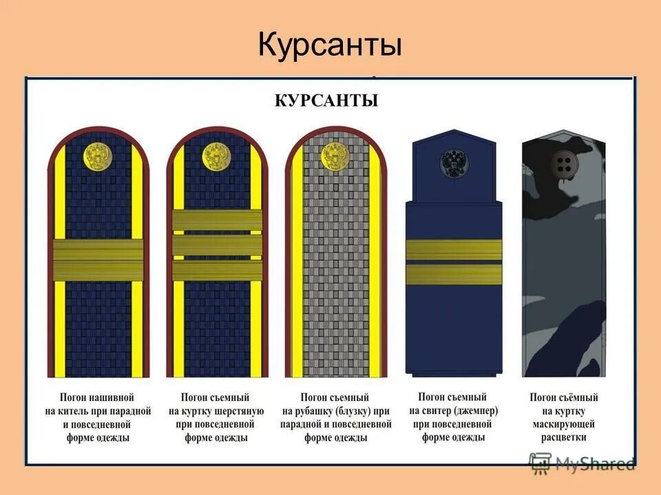 приказ мвд 777 о ношении форменной одежды. приказ о форме одежды сотрудников. распоряжение о дресс-коде в организации. форменная обувь для работников таможни. приказ о форме одежды сотрудников.