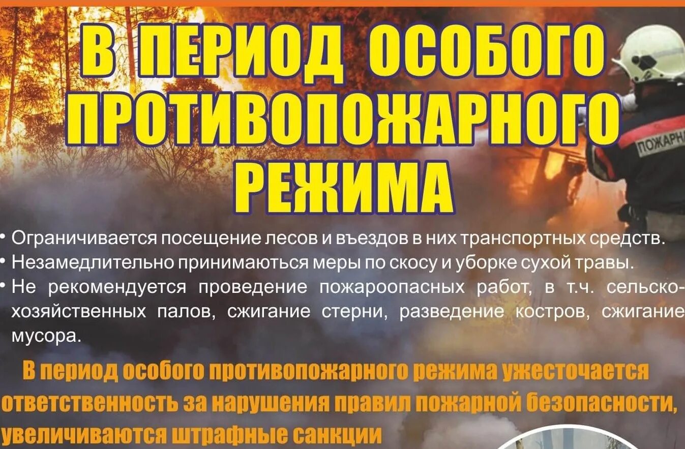 Особый противопожарный режим. Особый противопожарный режим памятка. Введение особого противопожарного режима. Памятка по особому противопожарному режиму.