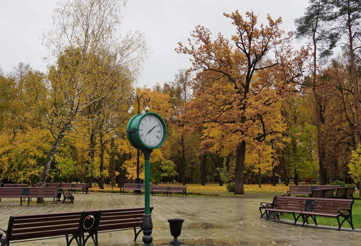Часы останкино. Парк Останкино осенью. Парк Останкино Москва. Парк Останкино поздней осенью. Осень в Москве Останкинский парк.
