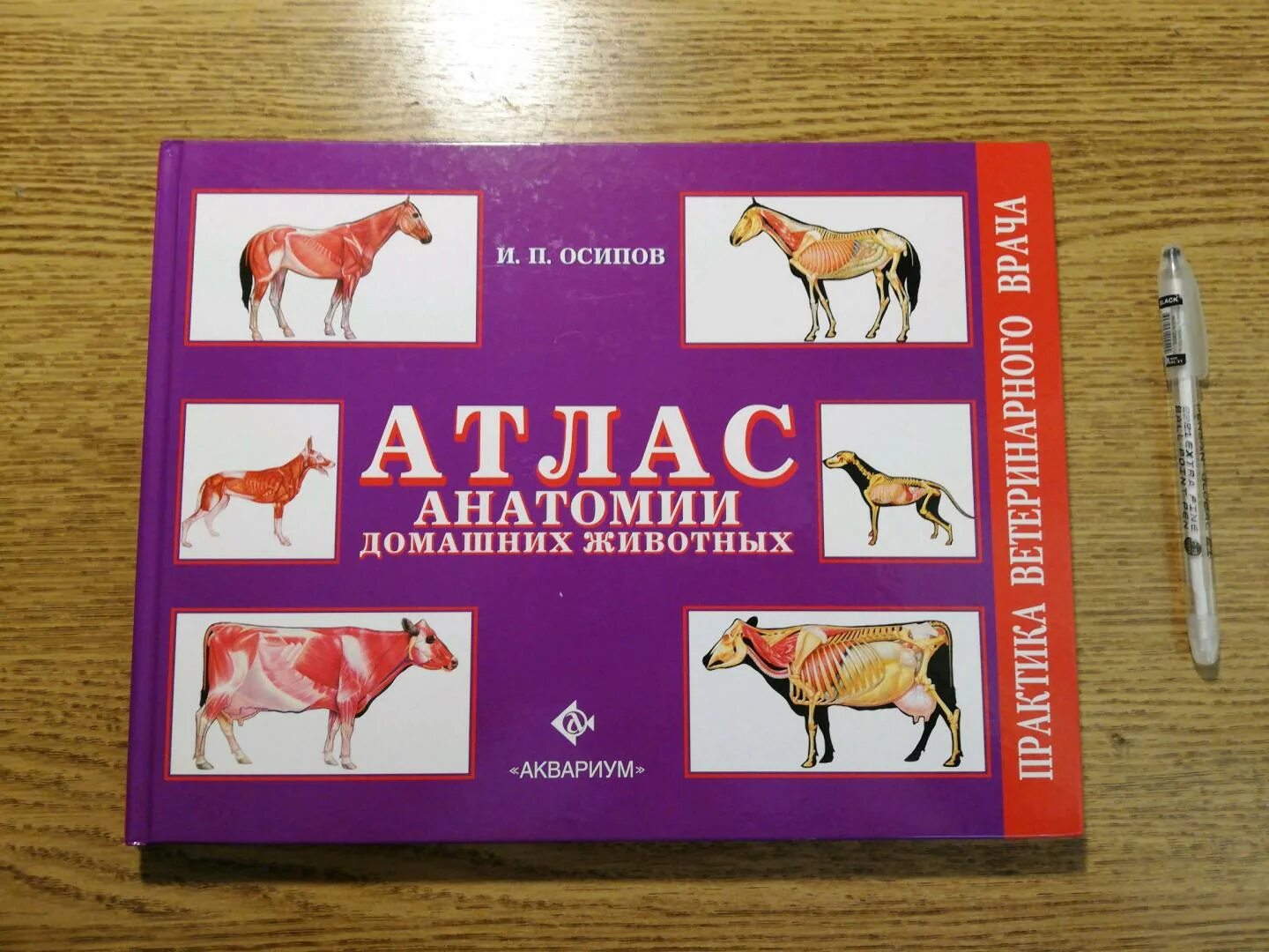 , кайнер р. Анатомия домашних животных. Атлас по анатомии домашних животных. Атлас анатомии животных. Анатомия животных ветеринария атлас.