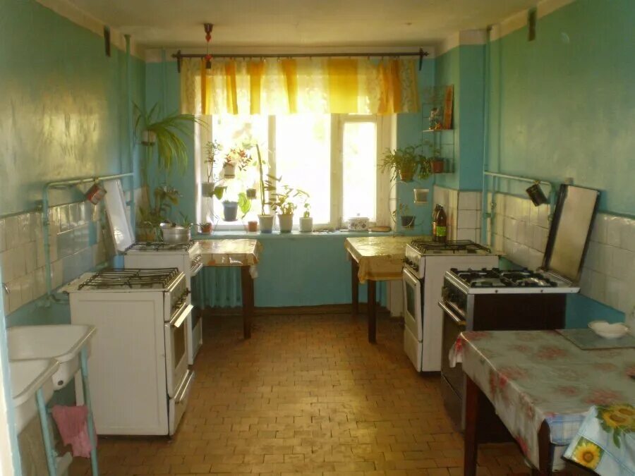 Кухня в общежитии. Кухня в студенческом общежитии. Общая комната в общежитии. Общая кухня в общежитии