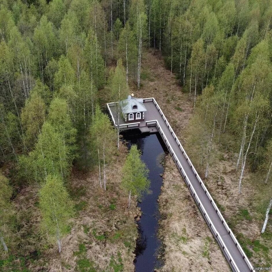 Река не может брать начало из. Исток Волги Волговерховье Тверская область. Исток Волги в Тверской области. Валдайская возвышенность Исток Волги. Исток реки Волга в Тверской области.