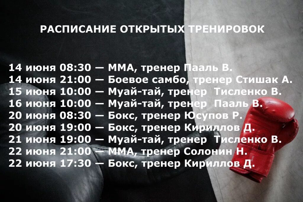 Распорядок дня тренировки. График тренировок по боксу. программа тренировок для бокса. план график тренировок. план тренировки по боксу.