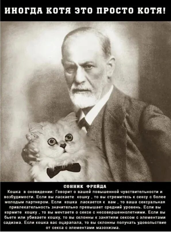 Собака фрейда
