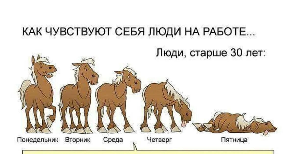 Как чувствуют себя люди на работе. Как чувствуют себя люди на работе до 30. Картинки с лошадьми как чувствуют люди- на работе. Прикол лошади дни недели. Неделя сложная была